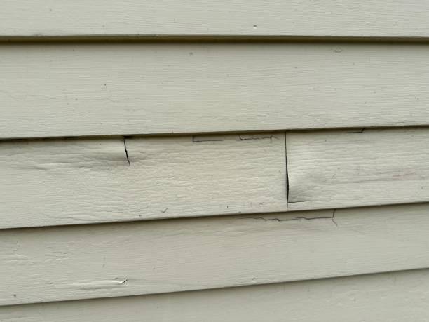 Best Siding Painting and Refinishing  in Franklin, TN